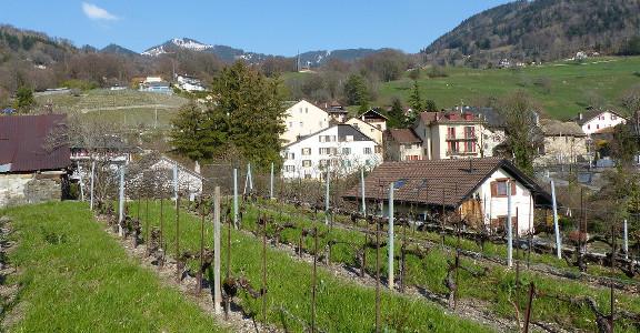 NotreVignoble