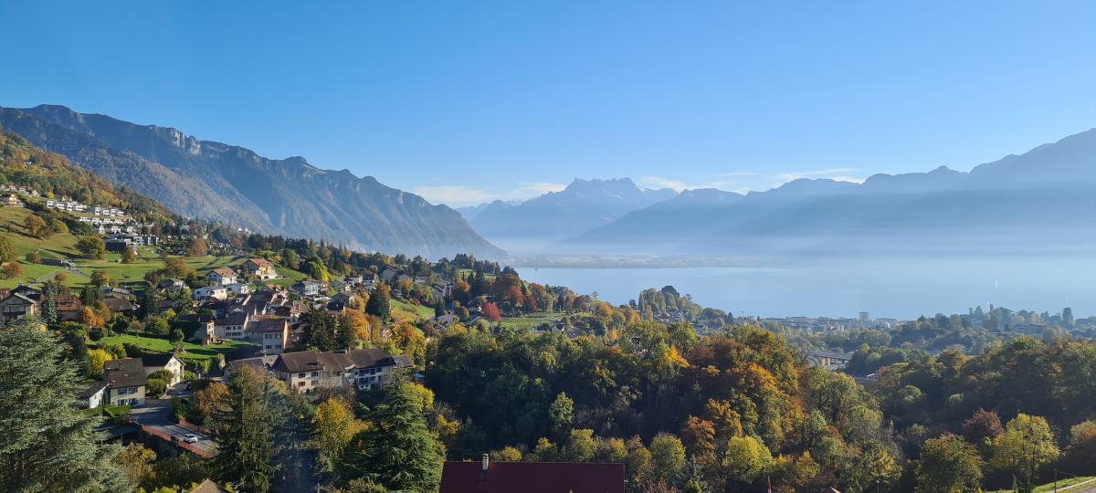 Vueaeriennevalais