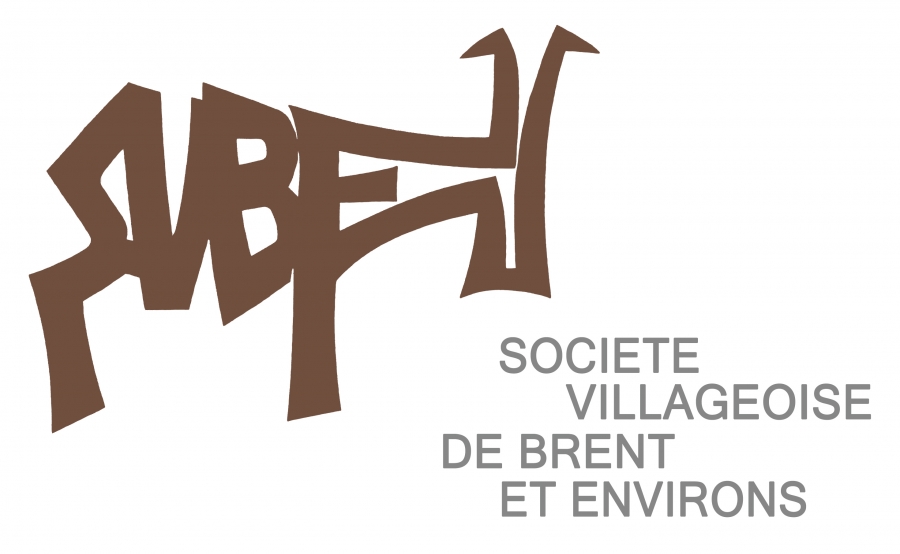 LOGO SVBE couleur final